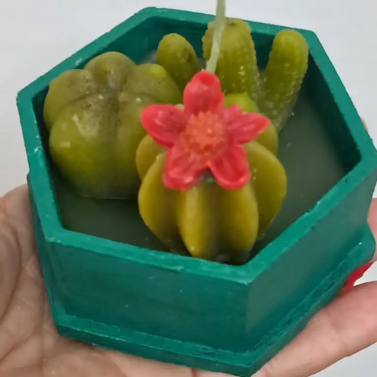 Cactus — imagen 4