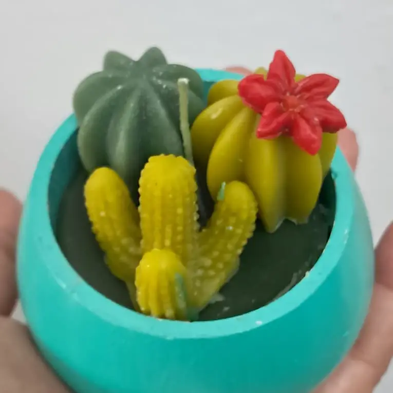 Cactus — imagen 2