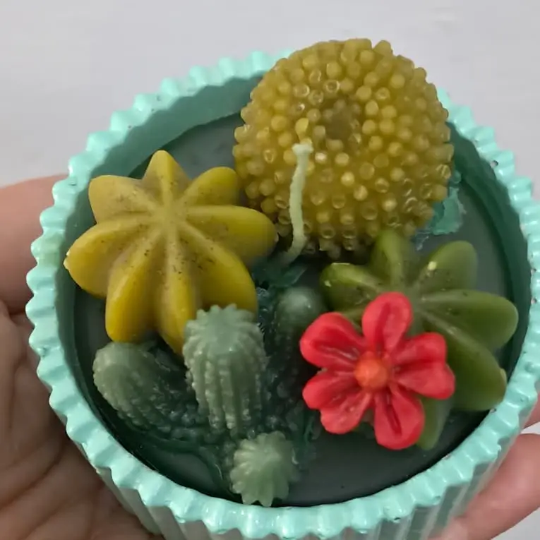 Cactus — imagen 3