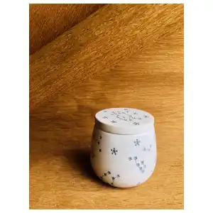 Constelación miniatura 1
