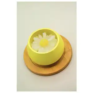 Margarita miniatura 1