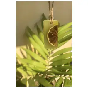 Aromatizadores de cera miniatura 1